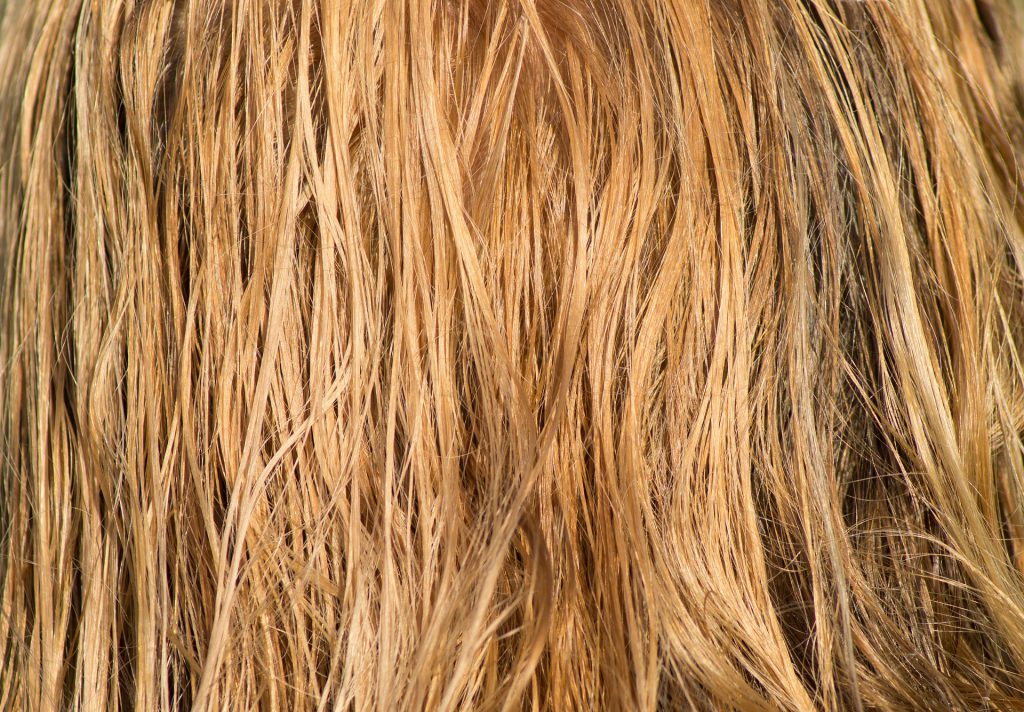 hair-breakage