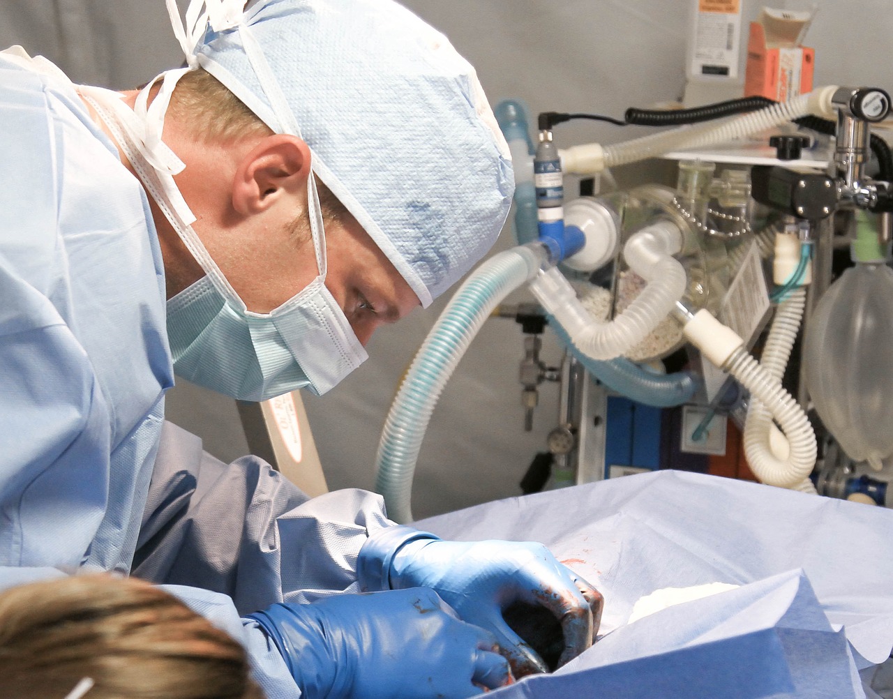 vet doing procedure