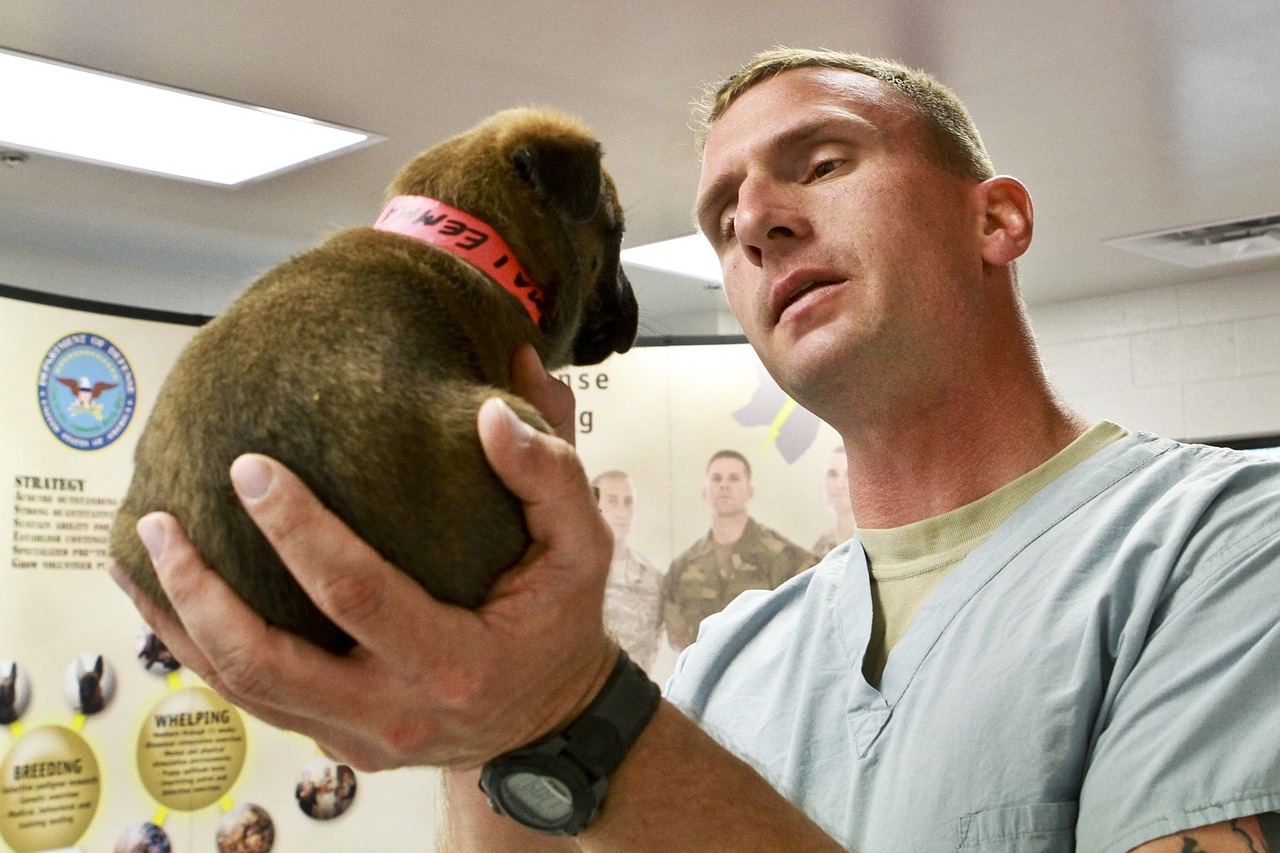 vet tech puppy